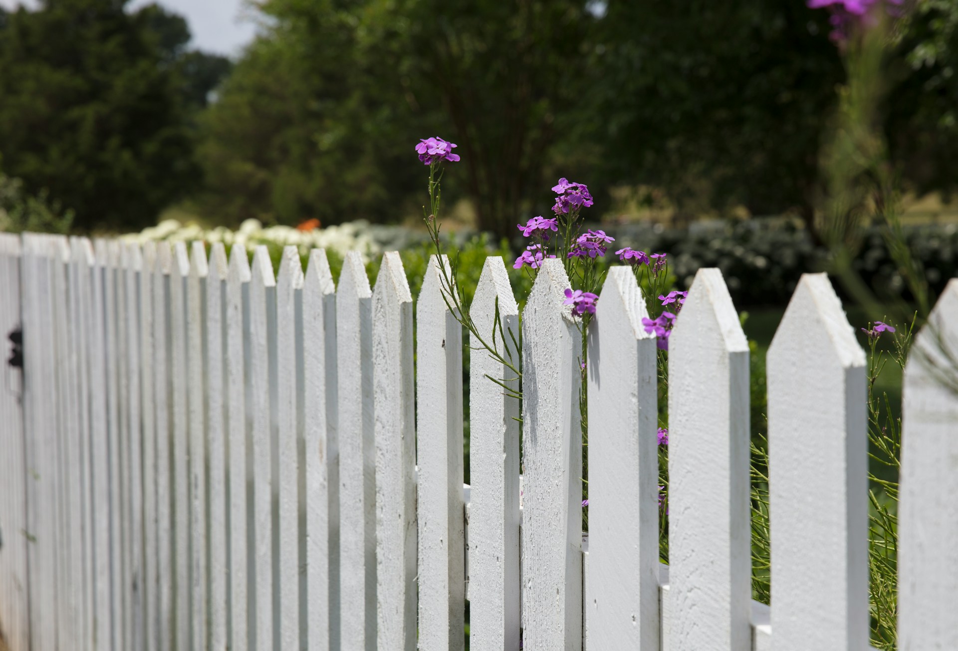 Picket fencing
